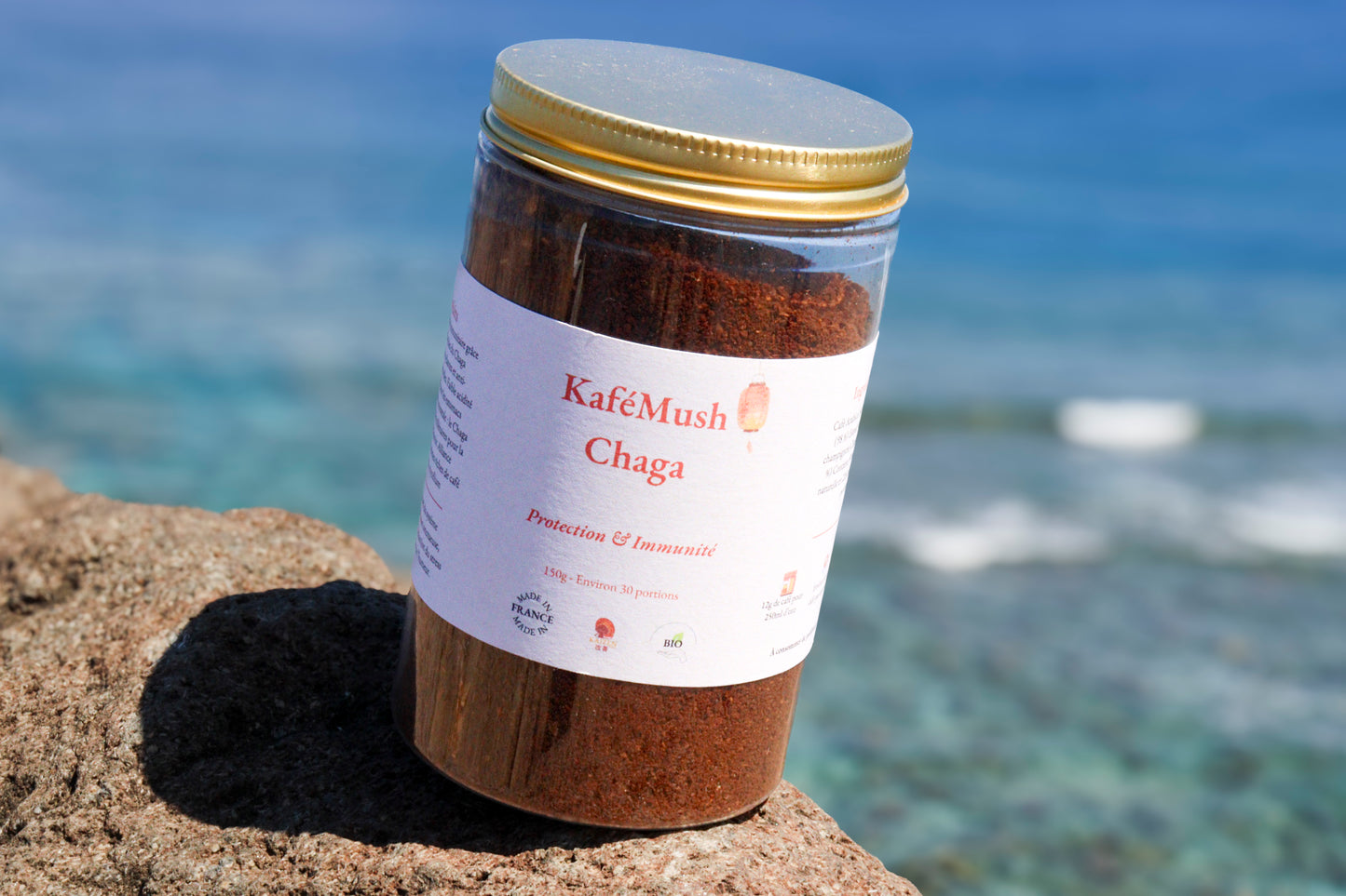 ☕ KaféMush – Chaga (Café Antioxydants) | KaizenMush