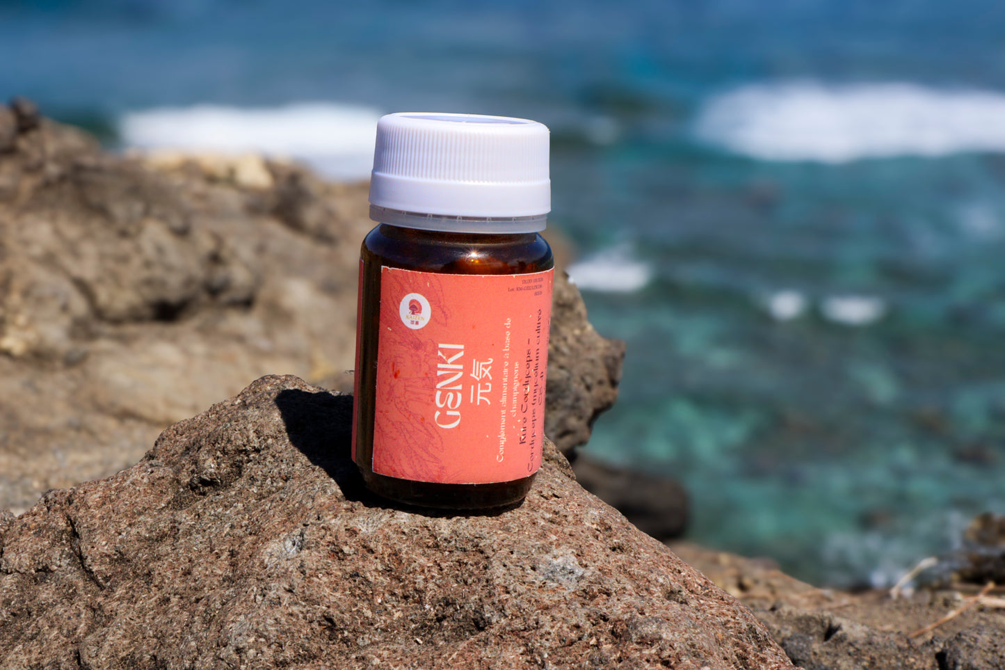 ⚡ Kure Katsuryoku – Pack Cordyceps (Genki) + Lion’s Mane (Kashikoi) | KaizenMush