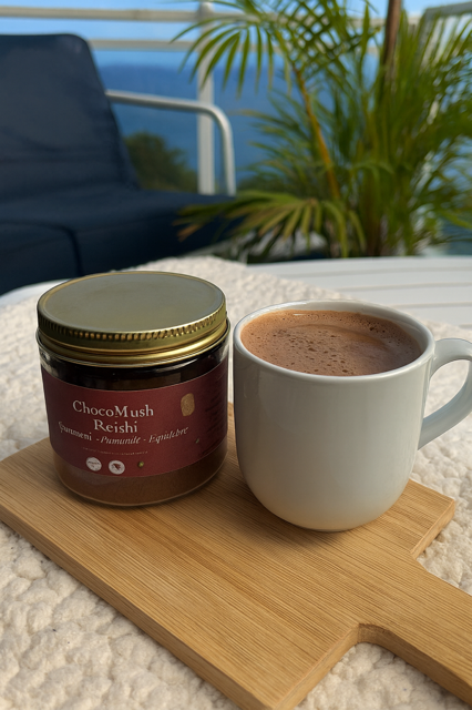 Recette chocolat chaud adaptogène au Reishi pour la détente et le sommeil