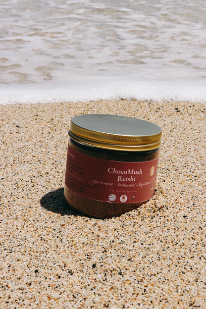 🍫 ChocoMush – Reishi (Chocolat Apaisant) | KaizenMush