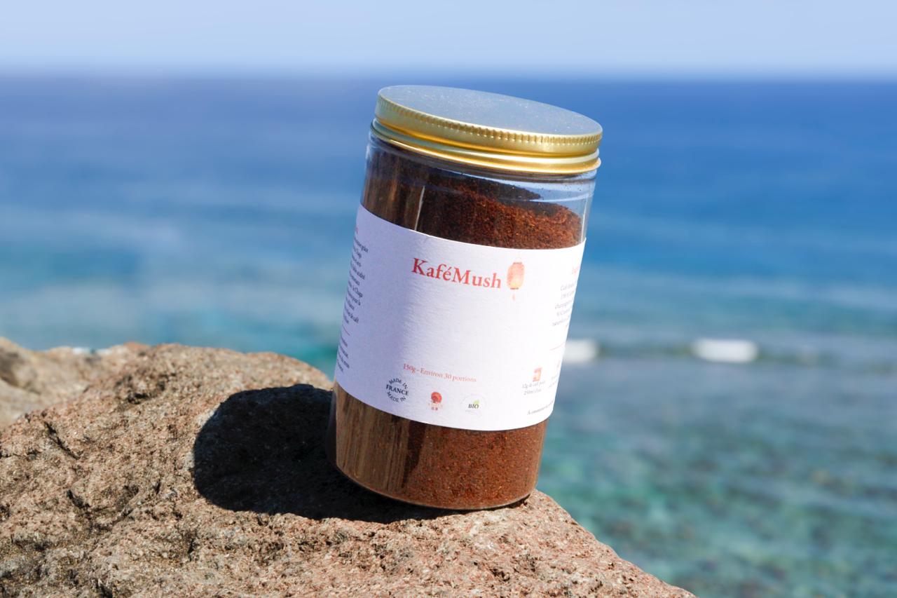 ☕ KaféMush – Lion’s Mane (Café Focus) | KaizenMush