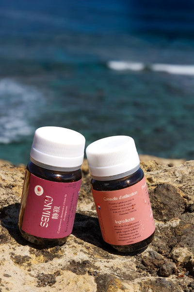 🌙 Kure Yasuragi – Pack Reishi (Seijaku) + Chaga (Eien)| KaizenMush