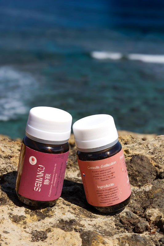 🌙 Kure Yasuragi – Pack Reishi (Seijaku) + Chaga (Eien)| KaizenMush
