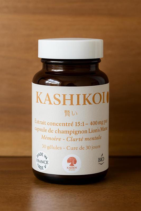 Kure Kashikoi – Focus & Clarté mentale(Lion’s Mane) | KaizenMush