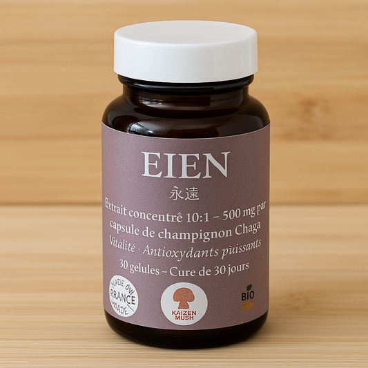 Kure Eien – Protection & Longévité (Chaga) | KaizenMush
