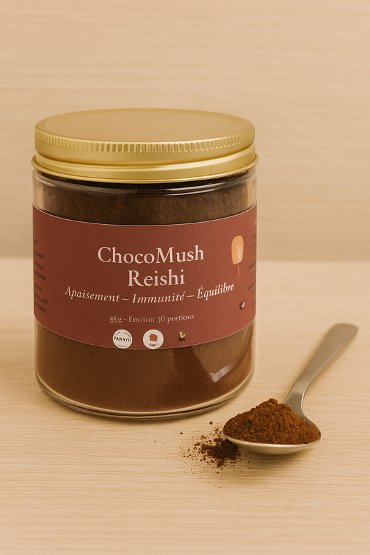Cacao Zen  & Relaxation  – ChocoMush au Reishi | KaizenMush