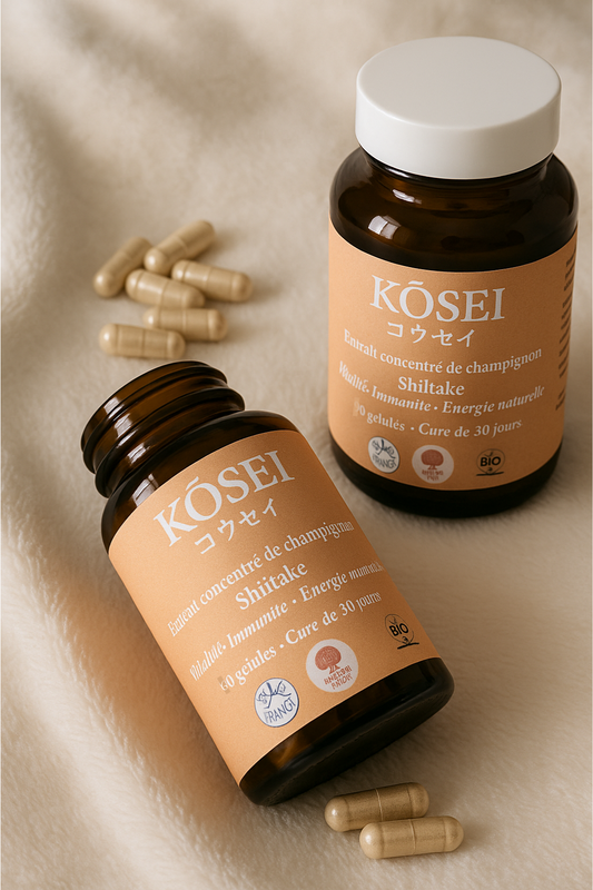 Kure Kōsei – Équilibre & Soutien Cellulaire (Shiitake) | KaizenMush