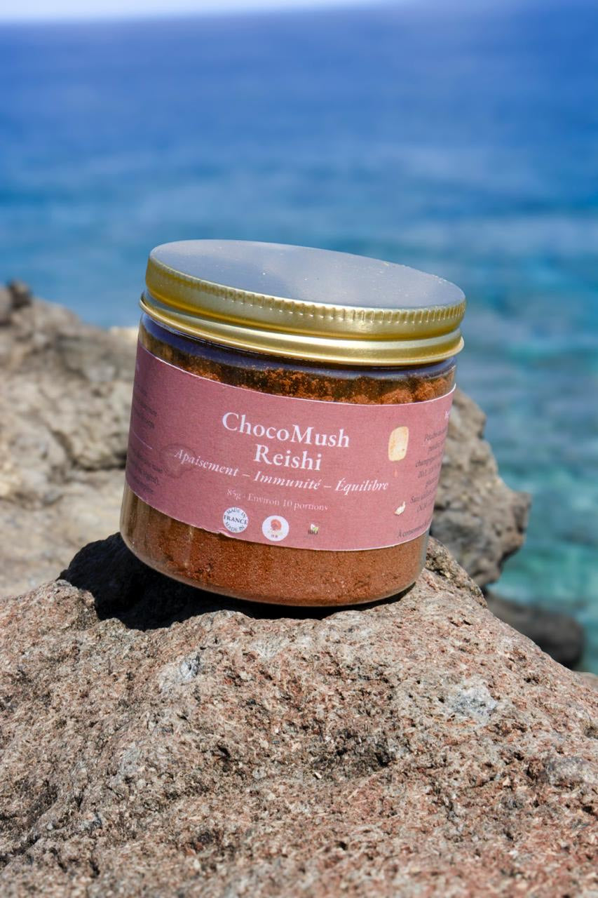 🍫 ChocoMush – Reishi (Chocolat Apaisant) | KaizenMush