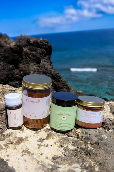 🧠 Kure Meikaku – Pack Café & Cacao Lion’s Mane + Matcha | KaizenMush