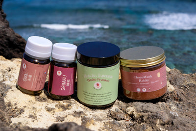 🌱 Kure Saisei – Pack Régénération (Chaga + Reishi + Cacao + Matcha)| KaizenMush