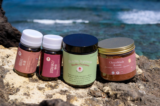 🌱 Kure Saisei – Pack Régénération (Chaga + Reishi + Cacao + Matcha)| KaizenMush