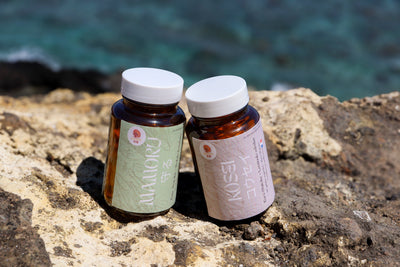 🍄 Kure Boei – Pack Shiitake (Kosei) + Maitake (Mamoru)| KaizenMush