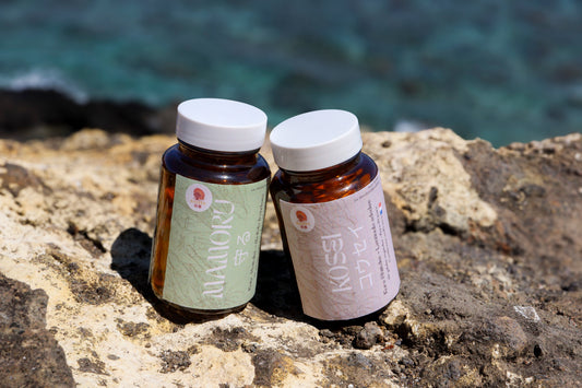 🍄 Kure Boei – Pack Shiitake (Kosei) + Maitake (Mamoru)| KaizenMush