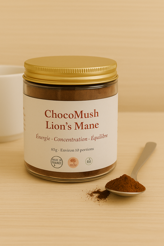 Cacao Focus & Clarté Mentale – ChocoMush au Lion’s Mane | KaizenMush