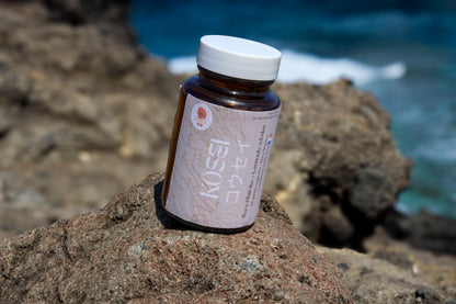 🍄 Kure Boei – Pack Shiitake (Kosei) + Maitake (Mamoru)| KaizenMush