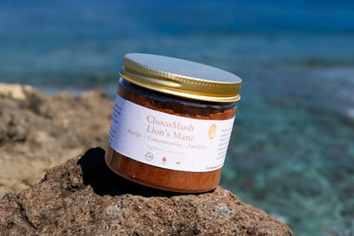 🍫 ChocoMush – Lion’s Mane (Chocolat Énergie) | KaizenMush