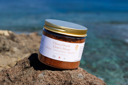 🧠 Kure Meikaku – Pack Café & Cacao Lion’s Mane + Matcha | KaizenMush