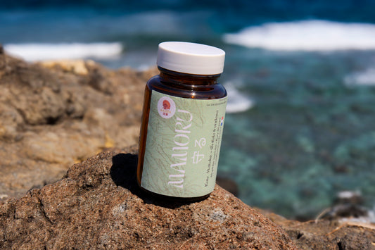 🍄Kure Mamoru – Maitake (Vitalité & Protection)| KaizenMush