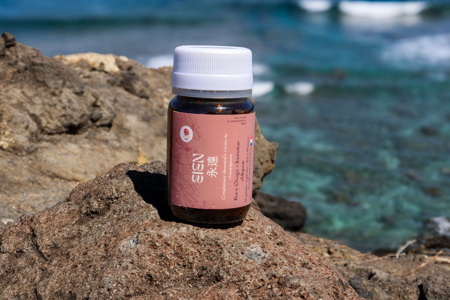 🌱 Kure Saisei – Pack Régénération (Chaga + Reishi + Cacao + Matcha)| KaizenMush