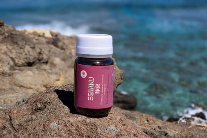 🌙 Kure Seijaku – Reishi (Sérénité & Relaxation) | Champignon Adaptogène