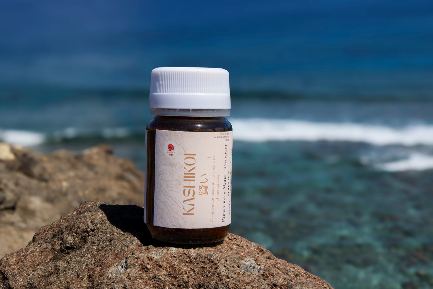 Kure Kashikoi – Clarté & Concentration (Lion’s Mane)| KaizenMush